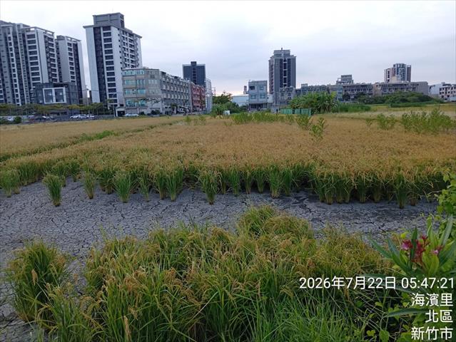生產者圖片