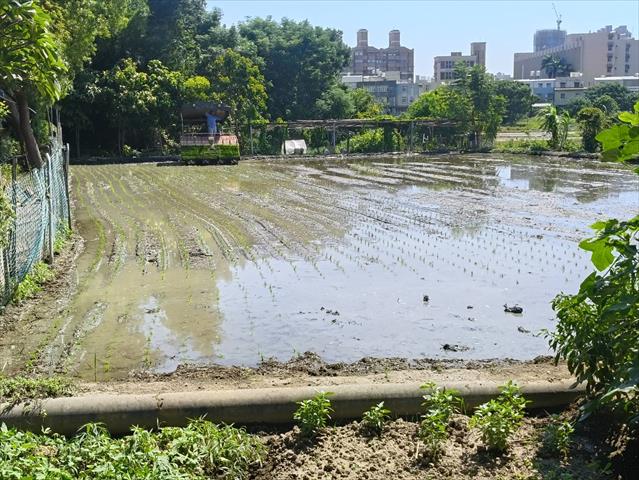 生產者圖片
