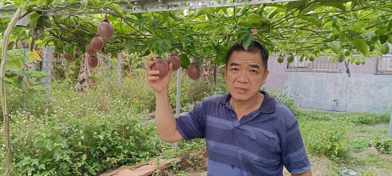 生產者圖片