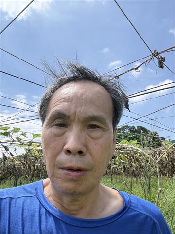 生產者圖片