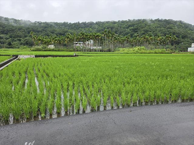生產者圖片