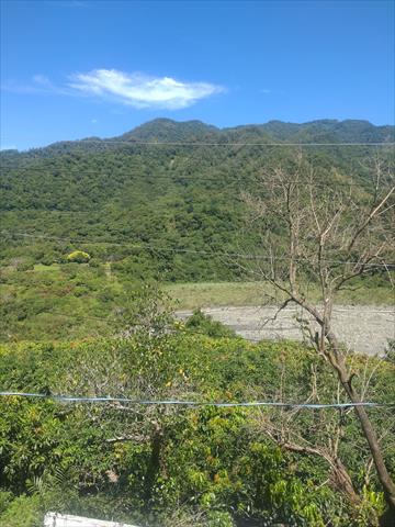 生產者圖片