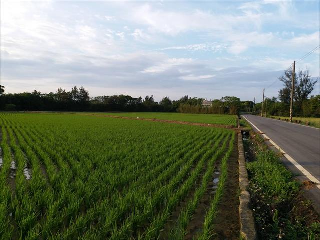 生產者圖片