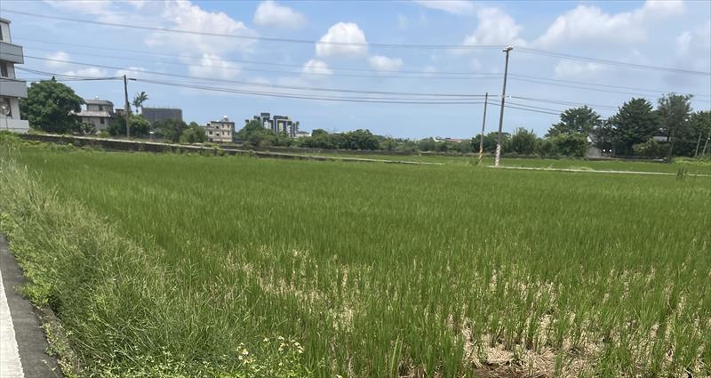生產者圖片