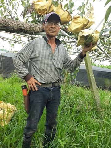生產者圖片