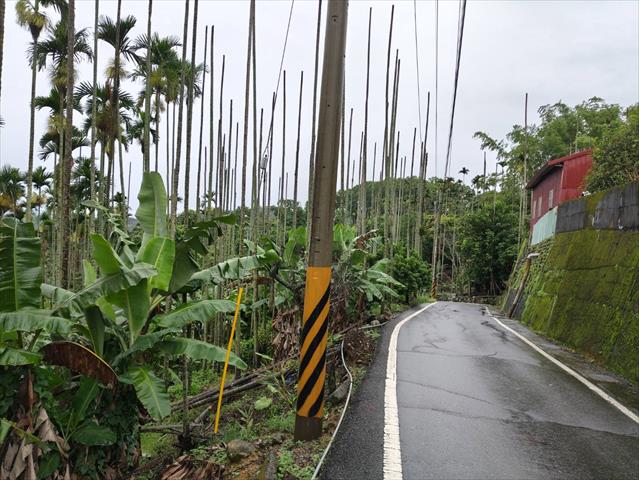 生產者圖片