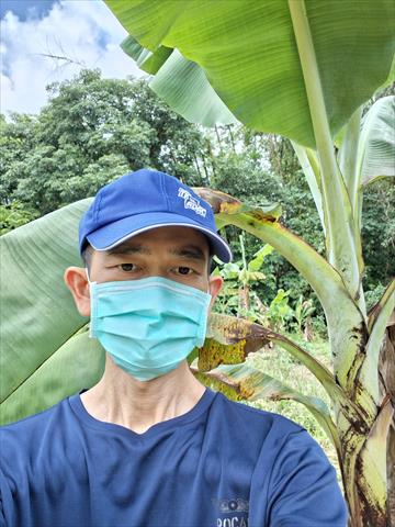 生產者圖片