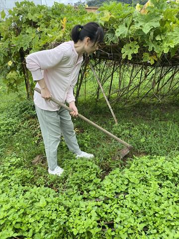 生產者圖片