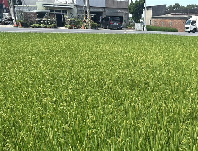 生產者圖片