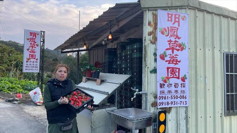 生產者圖片