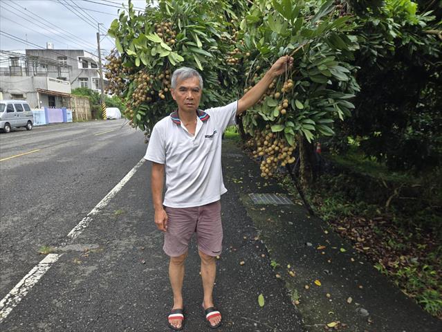 生產者圖片