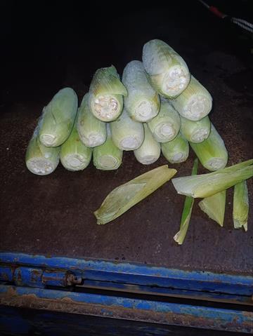 生產者圖片