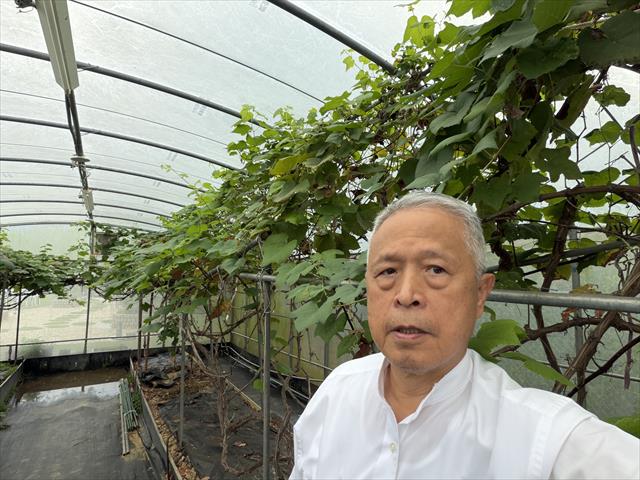 生產者圖片