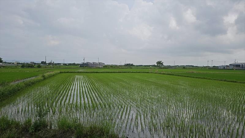 生產者圖片