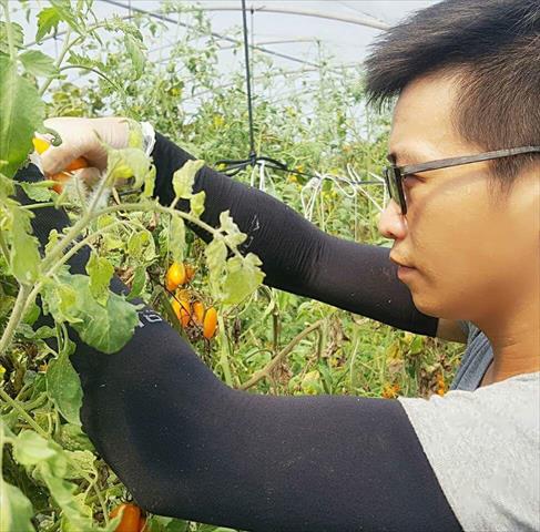生產者圖片