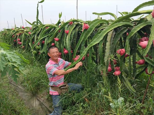 生產者圖片