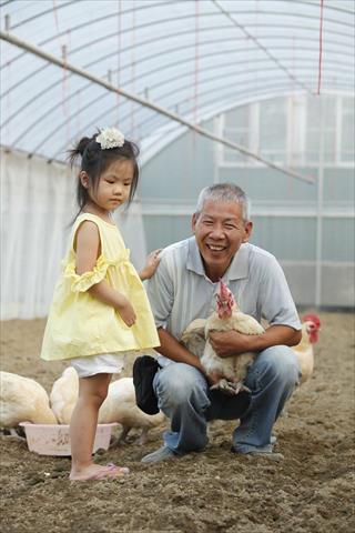 生產者圖片