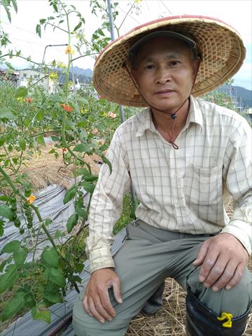 生產者圖片