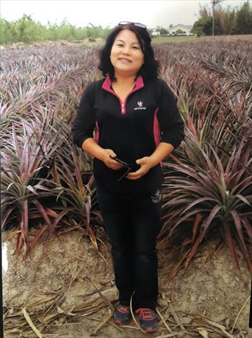 生產者圖片