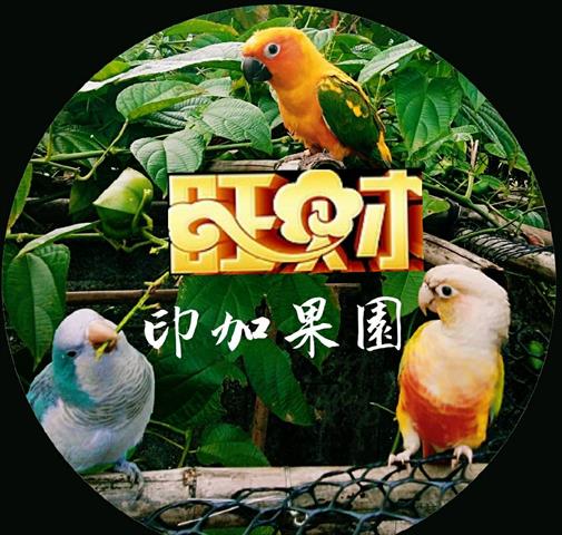 生產者圖片