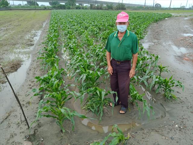 生產者圖片