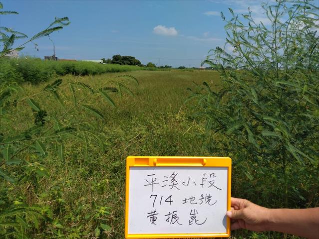 生產者圖片