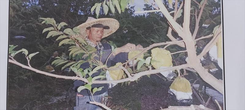 生產者圖片