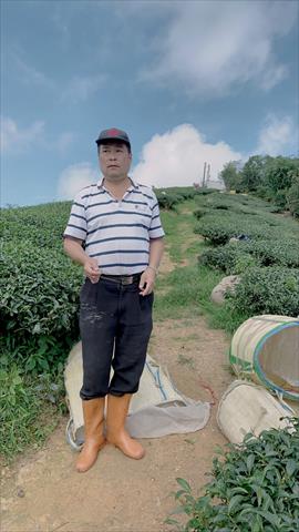 生產者圖片