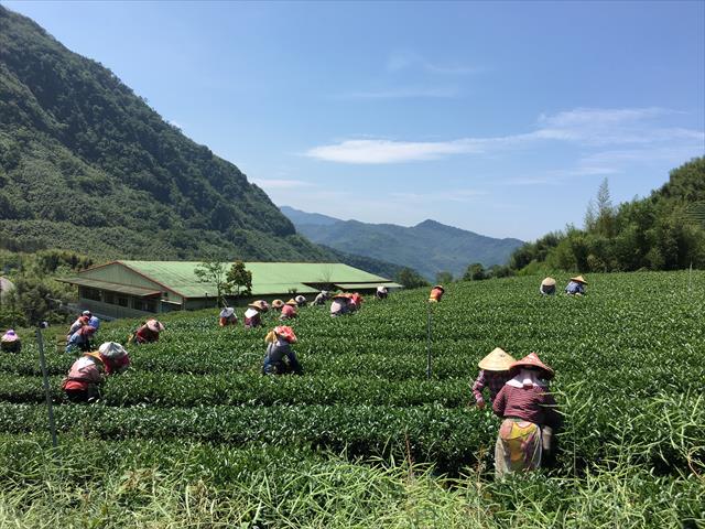 生產者圖片