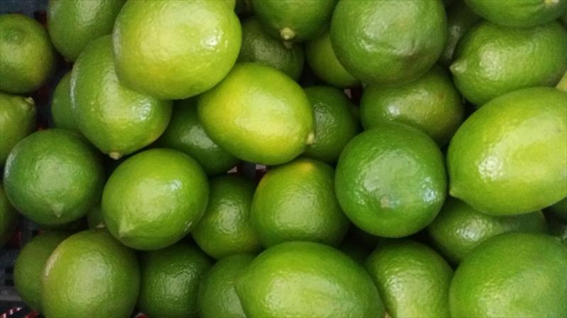 生產者圖片
