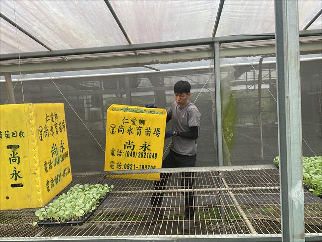 生產者圖片