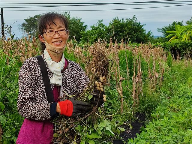 生產者圖片