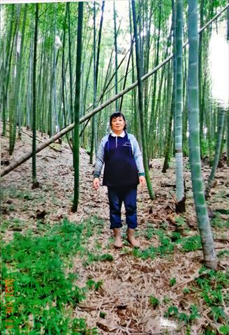 生產者圖片