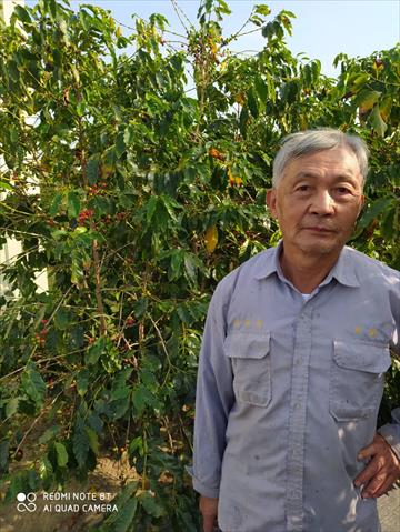 生產者圖片