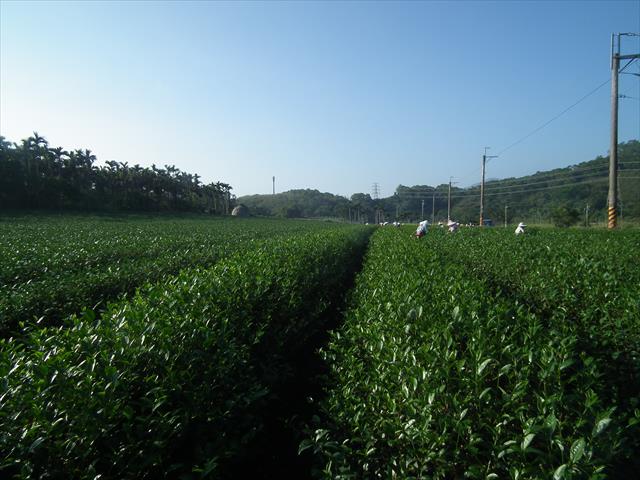 生產者圖片