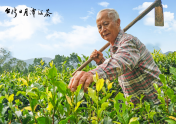 生產者圖片
