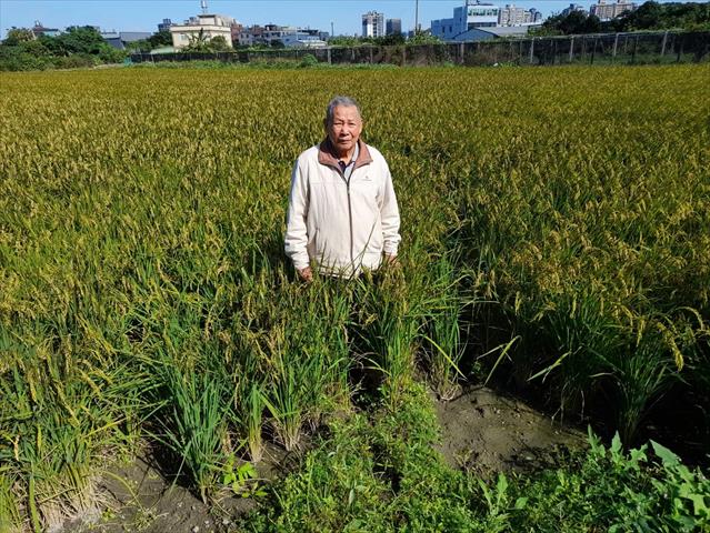 生產者圖片