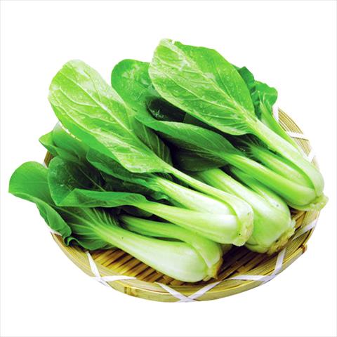 生產者圖片