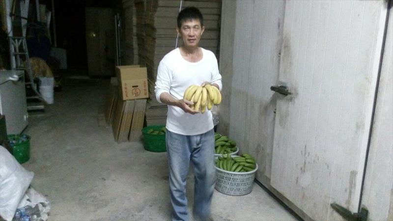 生產者圖片