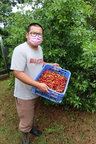 生產者圖片