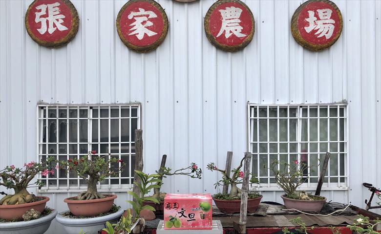 生產者圖片