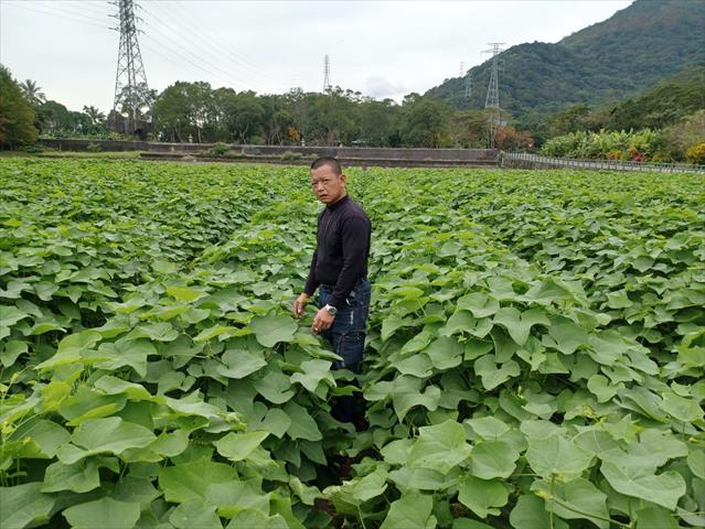 生產者圖片