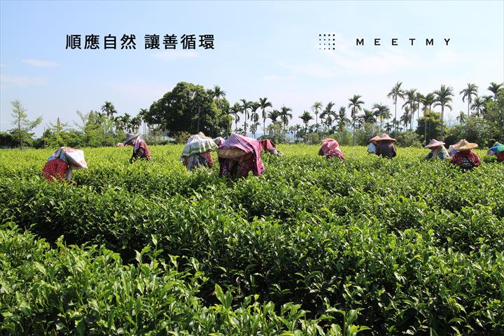 生產者圖片