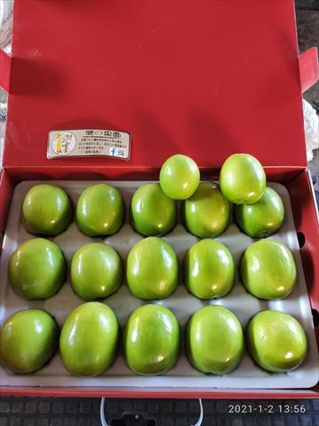 生產者圖片