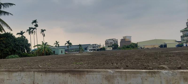 生產者圖片