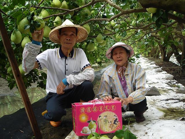 生產者圖片