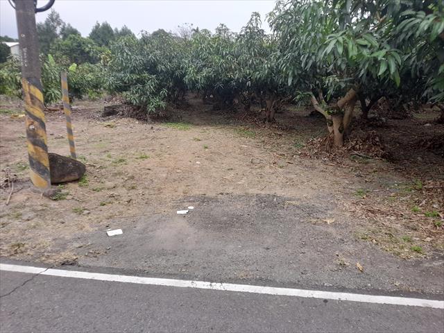 生產者圖片