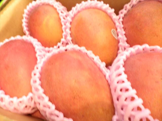 生產者圖片