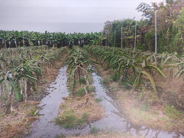 生產者圖片