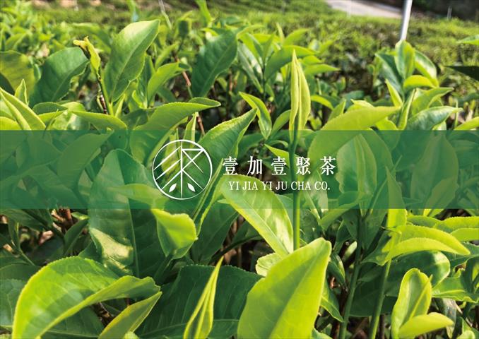 生產者圖片